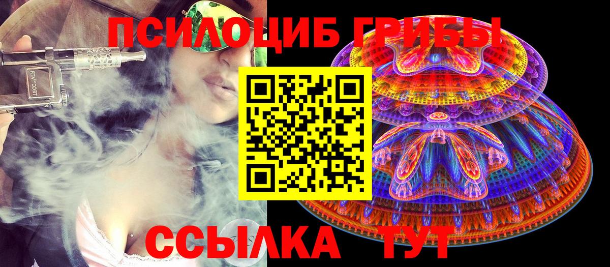 Мурманск  Псилоцибиновые грибы Psilocybine cubensis  купить  цена  Вход с VPN 