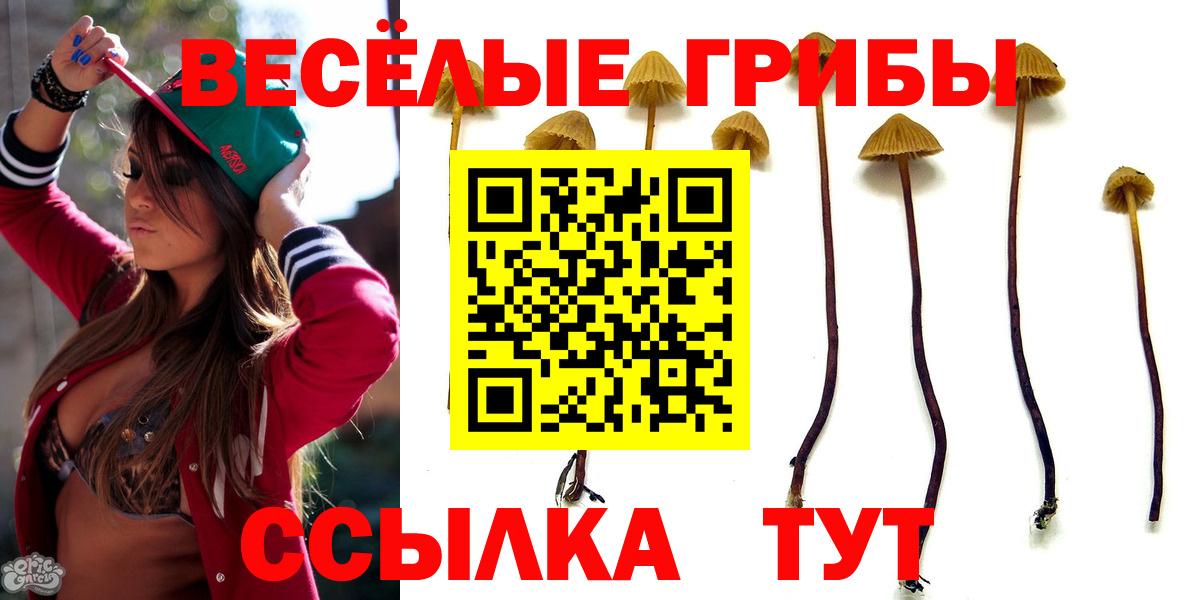 Галлюциногенные грибы ЛСД Мурманск